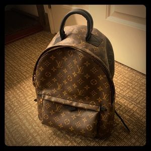 Louis Vuitton Palm Springs PM monogram
